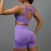 Conjunto de 2 Piezas: Top Deportivo y Shorts de Fitness