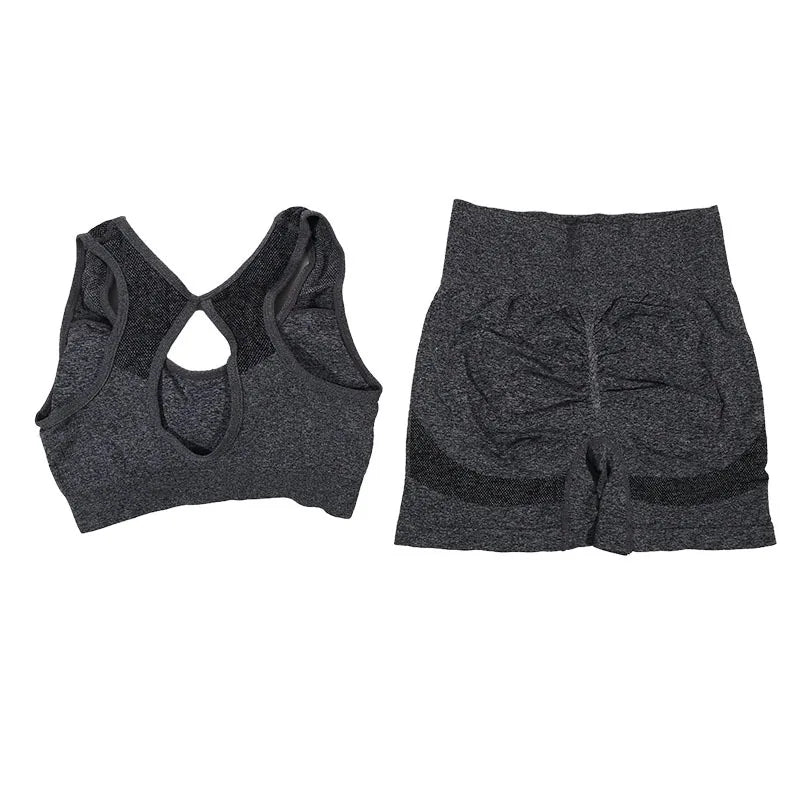 Conjunto de 2 Piezas: Top Deportivo y Shorts de Fitness