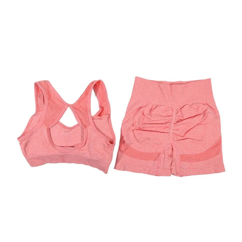 Conjunto de 2 Piezas: Top Deportivo y Shorts de Fitness