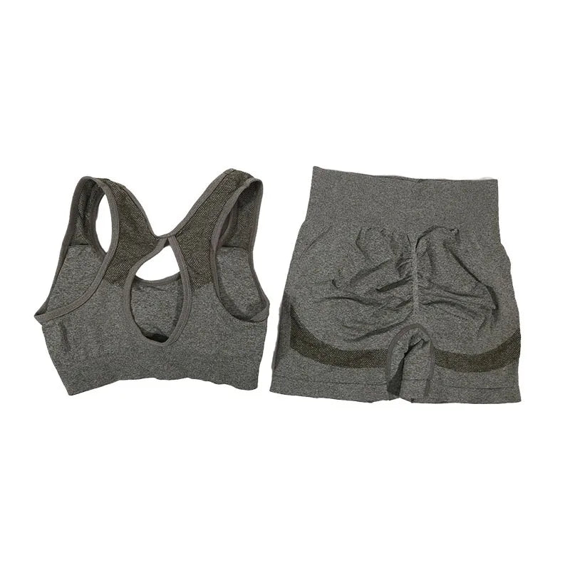 Conjunto de 2 Piezas: Top Deportivo y Shorts de Fitness