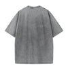Camiseta Premium Washed PBL deporte
