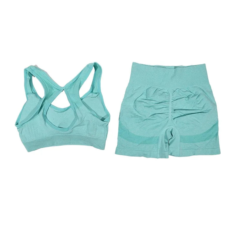 Conjunto de 2 Piezas: Top Deportivo y Shorts de Fitness