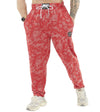Pantalones Deportivos Casuales 25-26 de PBL SPORT